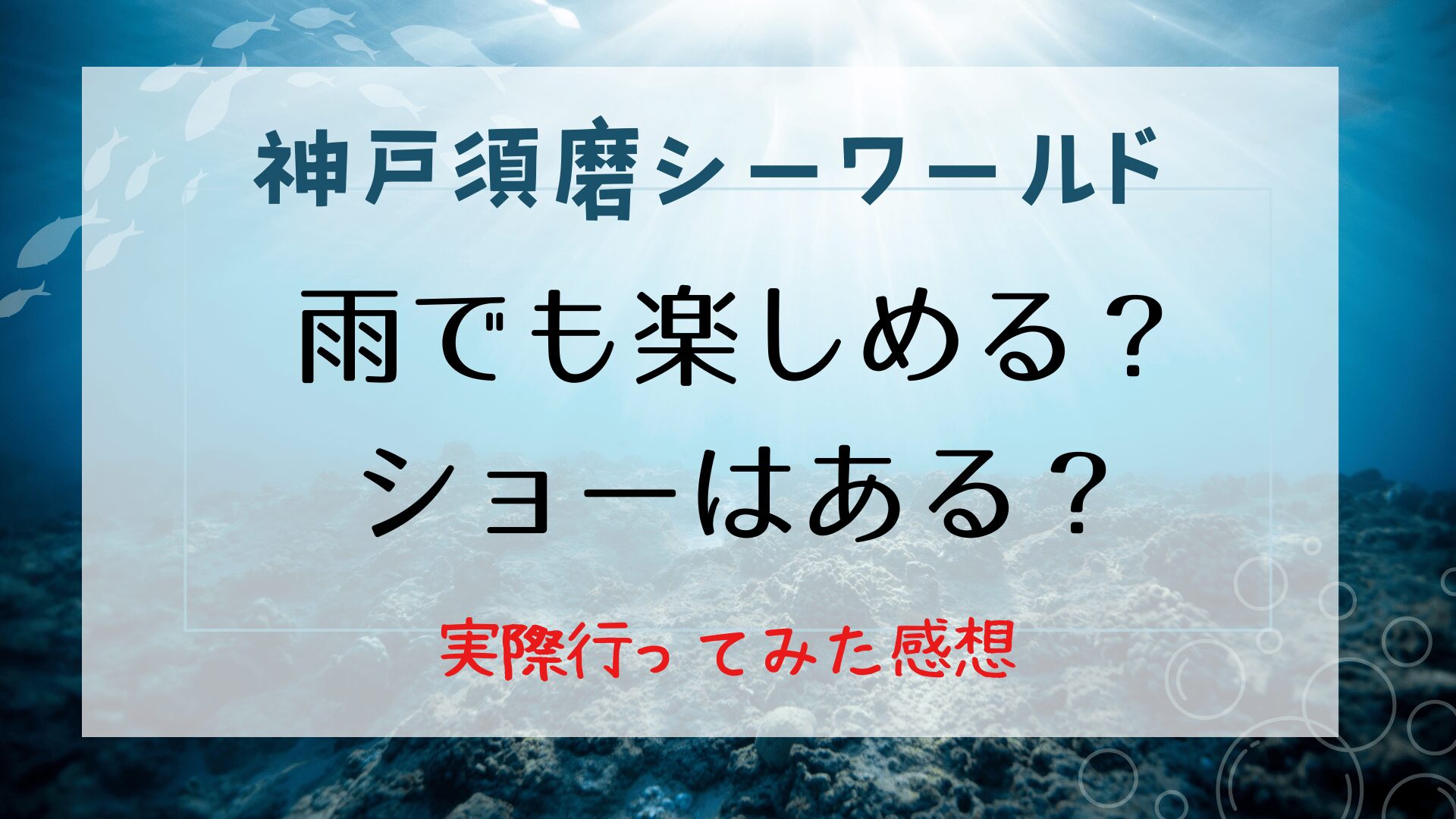 【体験記】須磨シーワールドは雨でも楽しい！ショーの有無やデメリットを紹介